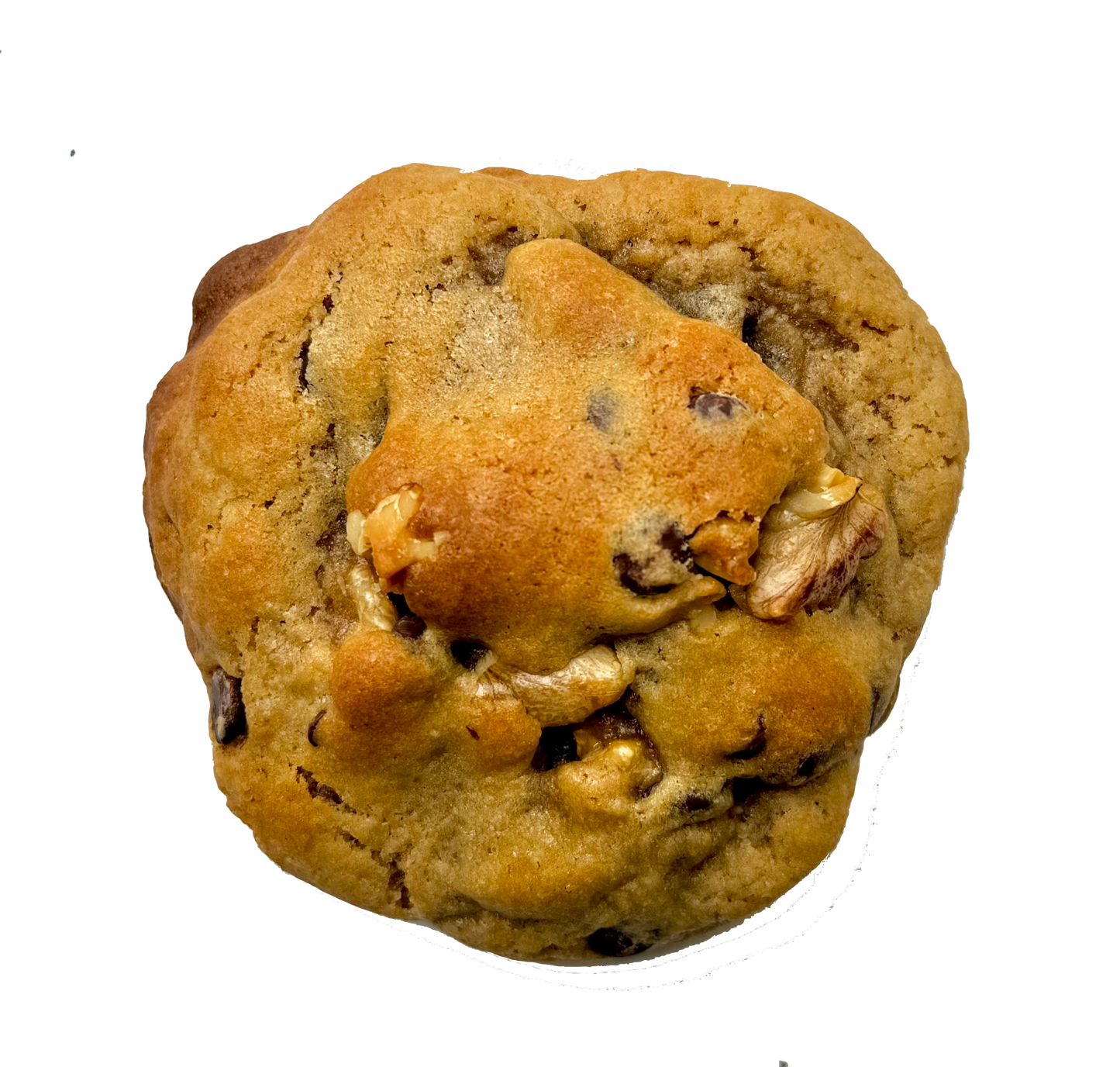 The 'OG' NYC Style with Walnuts