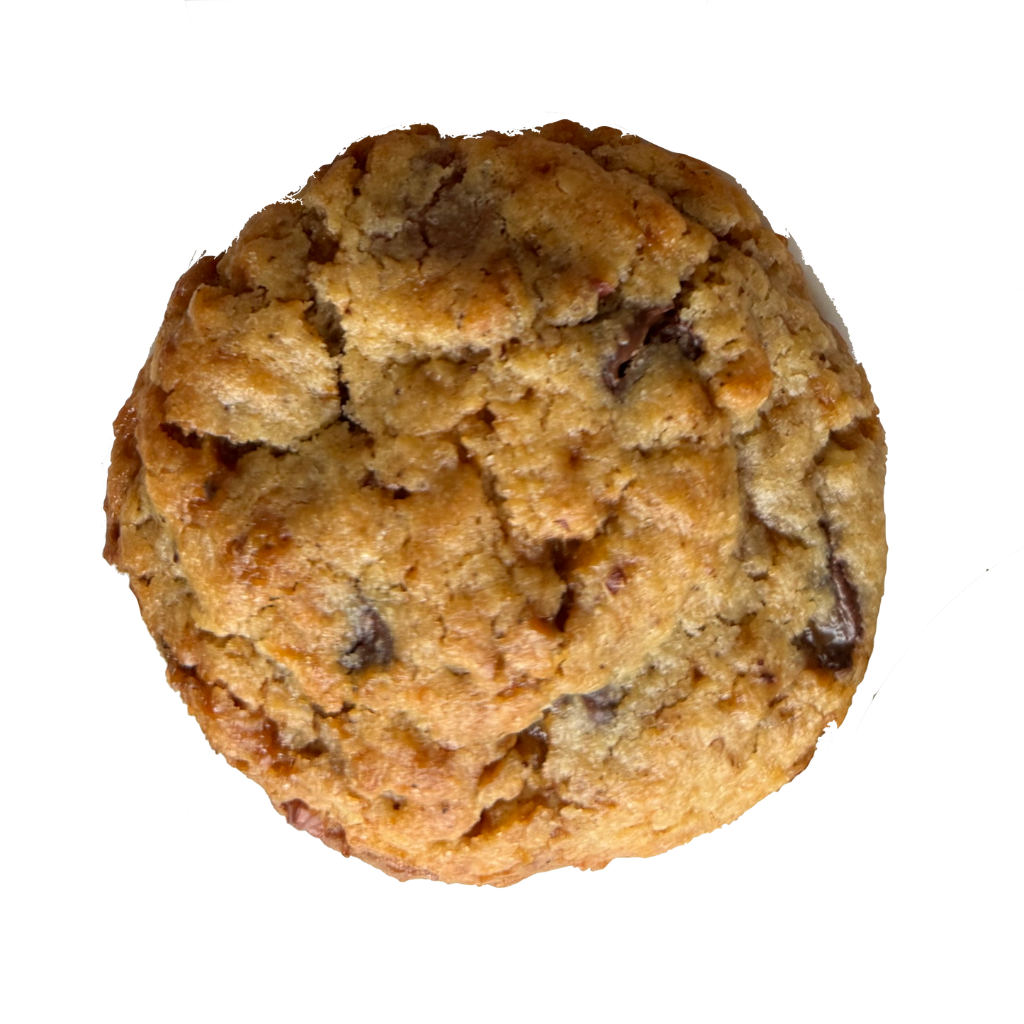 Salted Caramel and Pecan Cookie